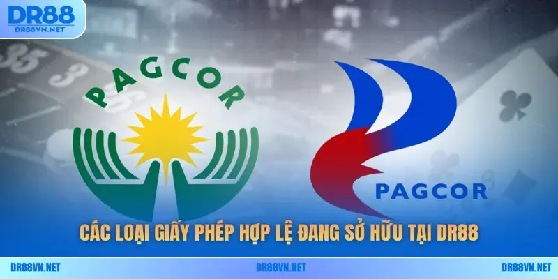 Các loại giấy phép hợp lệ đang sở hữu tại DR88 Các loại giấy phép hợp lệ đang sở hữu tại DR88