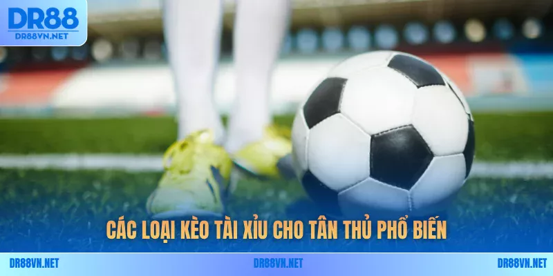 Các loại kèo tài xỉu cho tân thủ phổ biến Các loại kèo tài xỉu cho tân thủ phổ biến