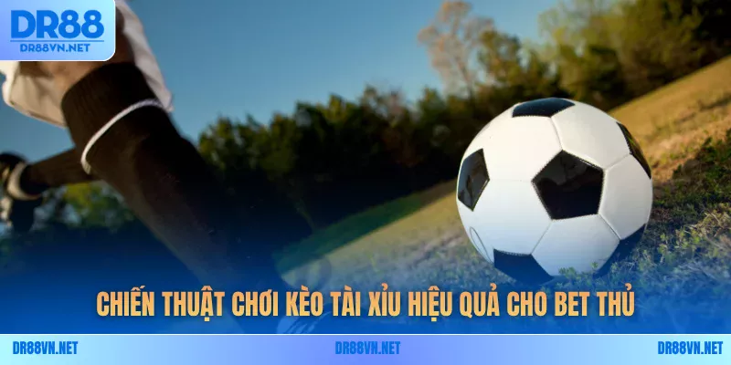 Chiến thuật chơi kèo tài xỉu hiệu quả cho bet thủ Chiến thuật chơi kèo tài xỉu hiệu quả cho bet thủ