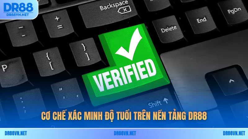Cơ chế xác minh độ tuổi trên nền tảng DR88 Cơ chế xác minh độ tuổi trên nền tảng DR88