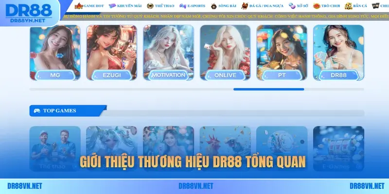 Giới thiệu thương hiệu DR88 tổng quan Giới thiệu thương hiệu DR88 tổng quan