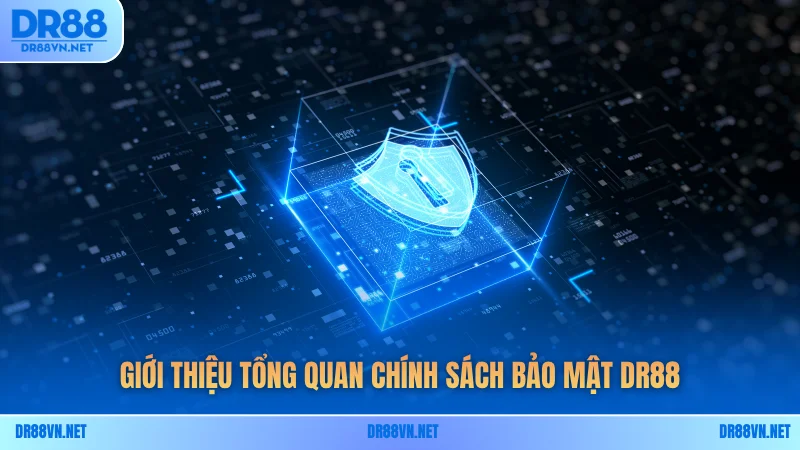 Giới thiệu tổng quan chính sách bảo mật DR88 Giới thiệu tổng quan chính sách bảo mật DR88