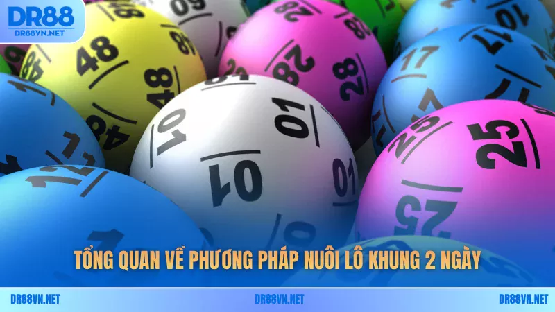 Tổng quan về phương pháp nuôi lô khung 2 ngày Tổng quan về phương pháp nuôi lô khung 2 ngày