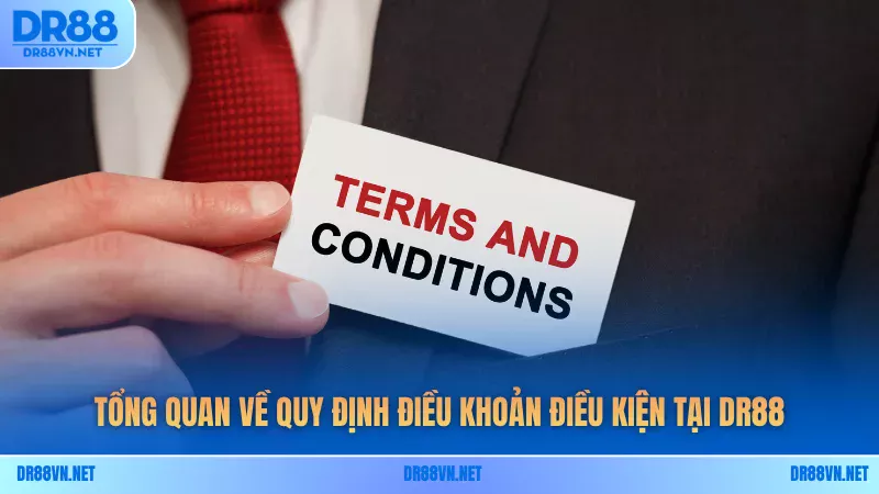 Tổng quan về quy định điều khoản điều kiện tại DR88 Tổng quan về quy định điều khoản điều kiện tại DR88